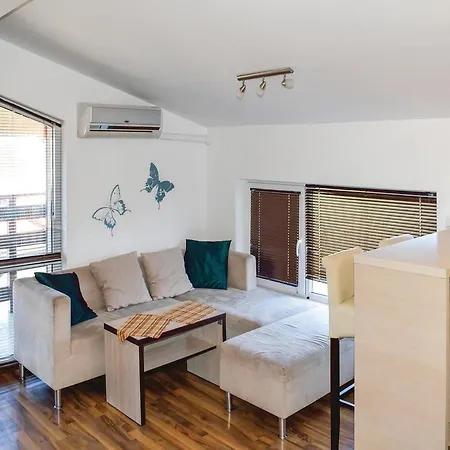 Two-bedroom In 索佐波尔